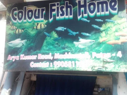 Colour Fish Home