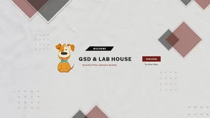 Gsd And Lab House