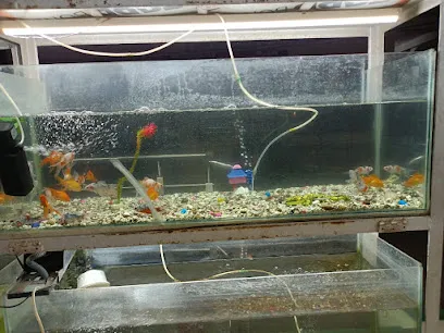 Just Fish Aquarium, Pet Shop & Pet Clinic