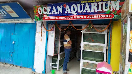 Ocean Aquarium