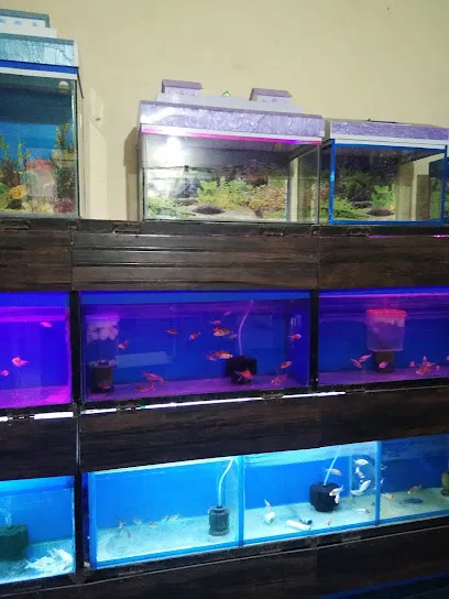 Aqua Green Aquarium