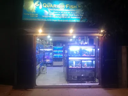 Aquarium Fish Store - The Ultimate Aquarium Showroom