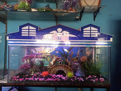 Shree Balaji Aquarium Shope