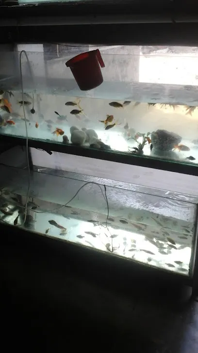 Shyama Shree Aquarium