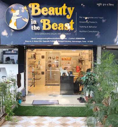 Beauty In The Beast Dog Salon And Academy