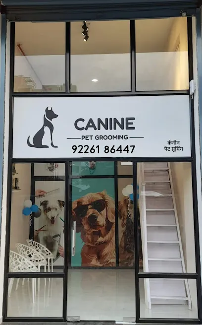 Canine Pet Grooming