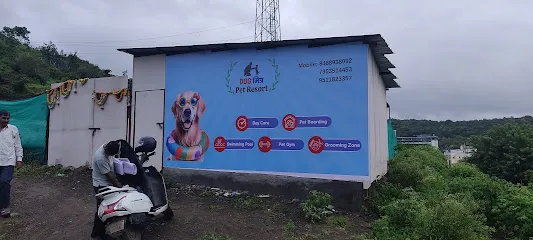 Dog Mitra | Pet Resort