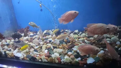 Fish World