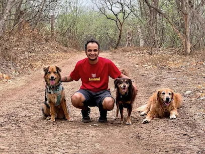 Floof Dog Training School