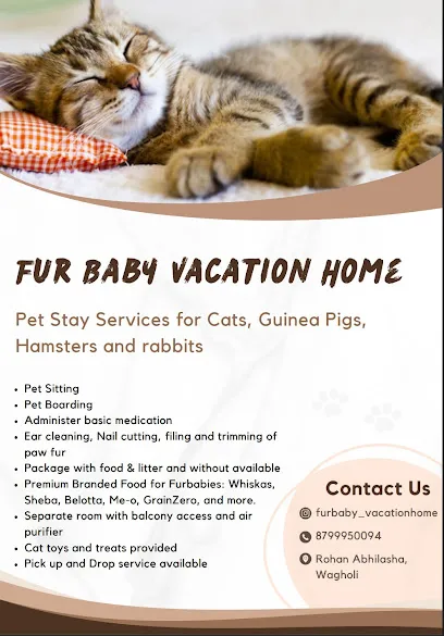 Fur Baby Vacation Home