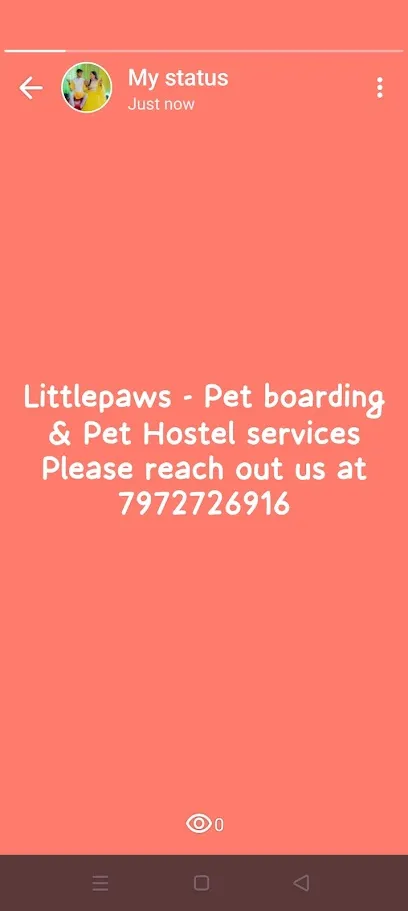 Littlepaws - Pet Boarding & Pet Hostel Services