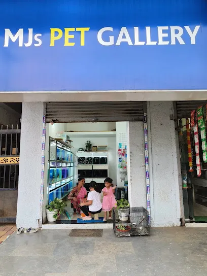 Mj's Pet Gallery Aquarium Shop