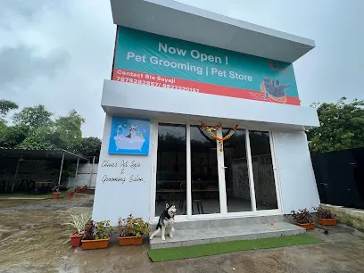 Olive's Pet Spa & Grooming Salon