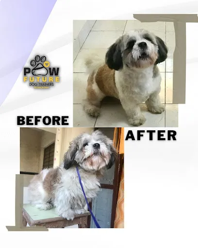 Paw Future Pet Services (Pet Groomer)