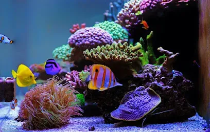 Pune Marine Aquarium