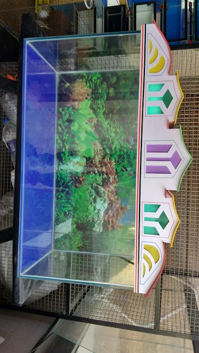 Rainbow Aquarium