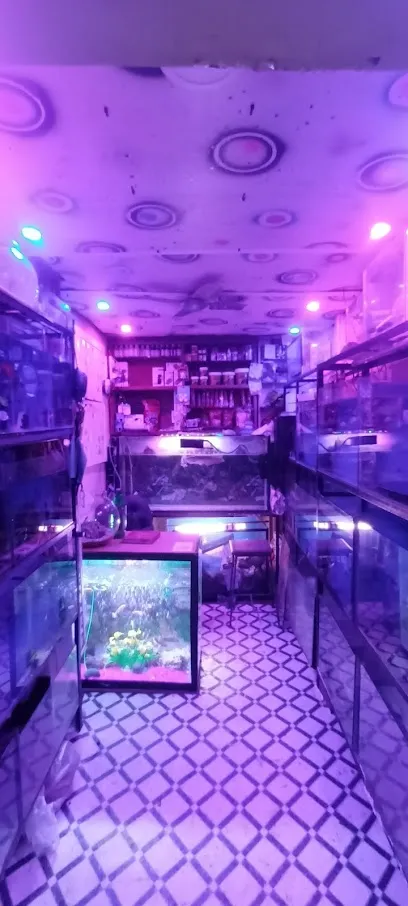 Shree Aquarium