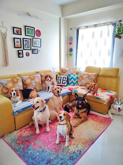 The Furry Town | Pet Home Stay