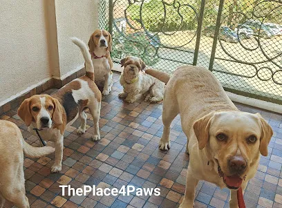 The Place 4 Paws Pet Homestay