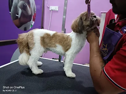 Pet's Super Bazar Grooming Salon