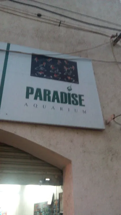 Paradise Aquarium