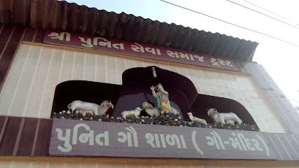 Punit Gau Shala Gau Mandir