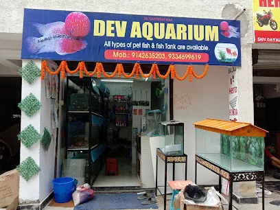 Dev Aquarium