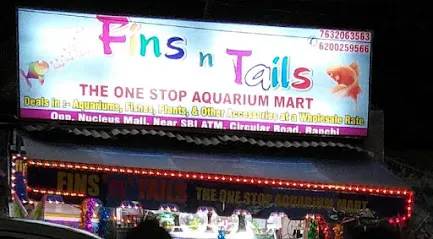 Fins N Tails (Best In Ranchi)