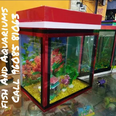 Fish And Aquariums