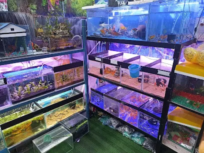 Fishntank