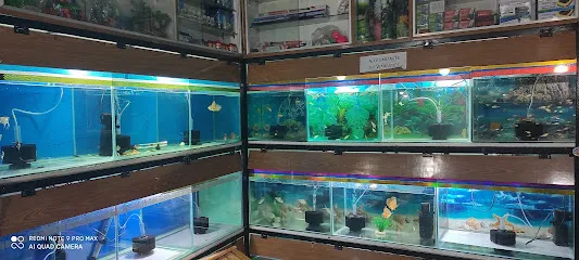 Happy Aquarium