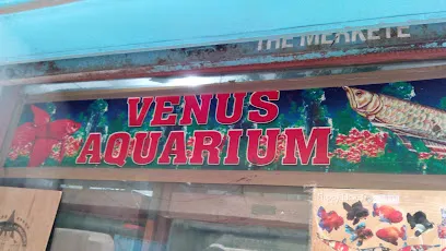 Venus Aquarium