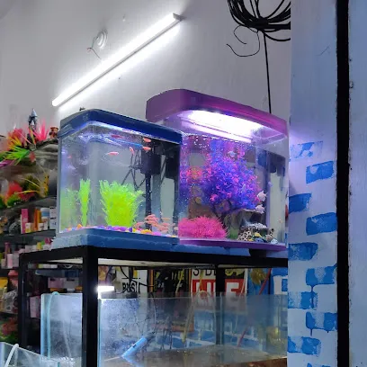 Guransh Aquarium