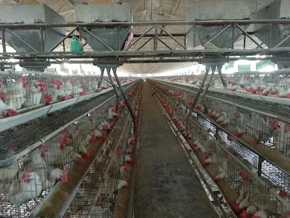 Bhopal Poultry Farm Thuna