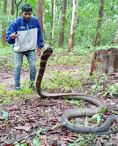 Snack Rescue Shimoga