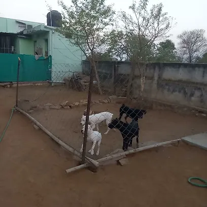 Sikar Pet Kennel