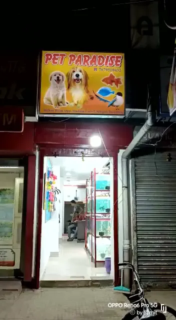 A Pet Paradise