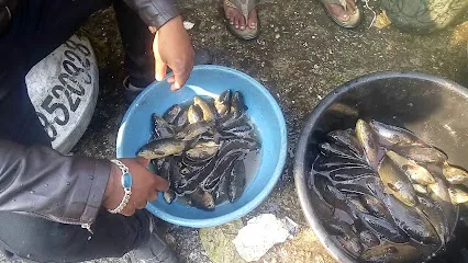 Siliguri Junction Fish And Meat Market