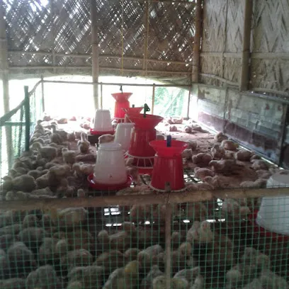 Sivasagar Poultry House