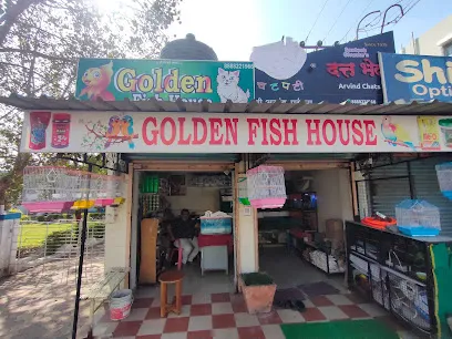 Golden Fish House Aquarium Shop