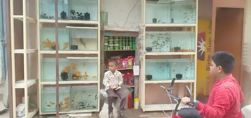 New Zakki Fish Aquarium