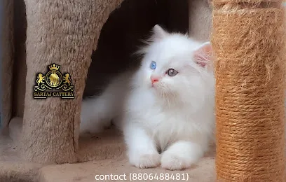 Sartaj Cattery