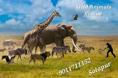 Wild Animals Rescue