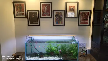 Aqua Art Nature Aquarium