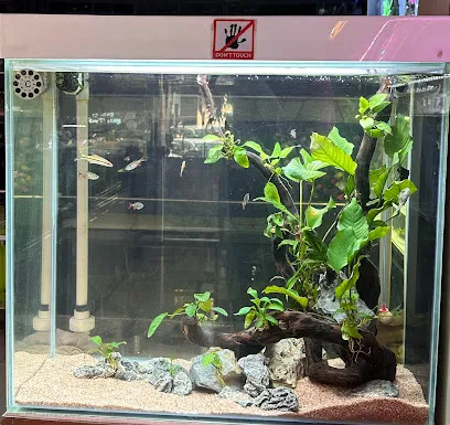 Dhirsoni Aquarium & Pet Store