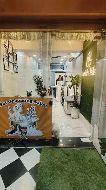 Lavish Taillls Pet Grooming Salon