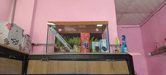 Mitu Aquarium Shop