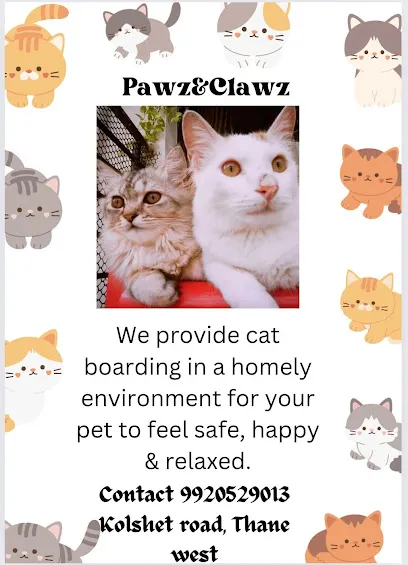 Pawz & Clawz Cat Boarding