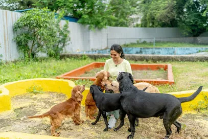 The Ohana At Thane - Pet Boarding And Pet Training Centre