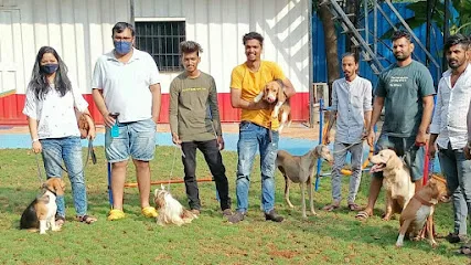 Vishal Dog Training & Behaviourist